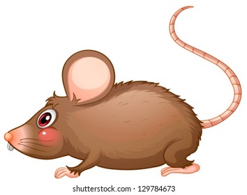 Illustration of a rat with a long tail on a white background