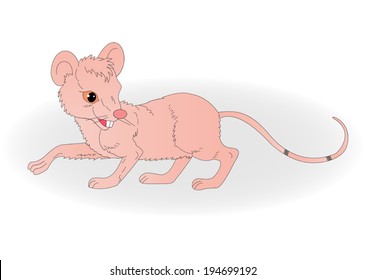 illustration of a rat with a long tail on a white background 