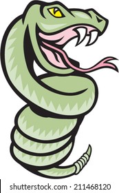 Illustration of a rattle snake viper serpent coiling up on isolated white background  done in cartoon style.