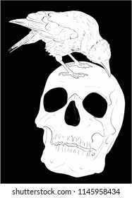 illustration with raven and human skull isolated on black background