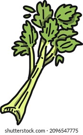 Illustration of raw celery. A nutritious and standard salad ingredient.