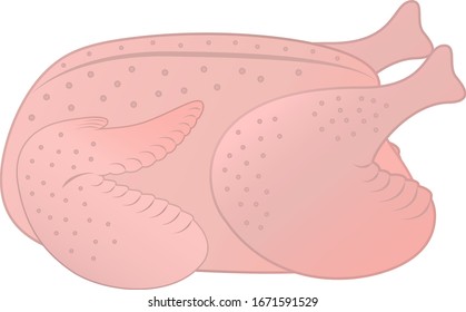 Illustration of raw chicken meat.