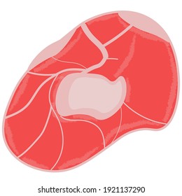 ilustración del icono de la carne cruda