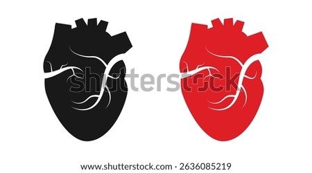illustration of real heart vector