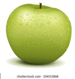 Illustration of a realistic apple