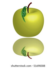 illustration of realistic apple