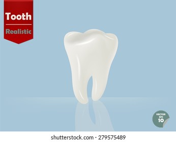 illustration of realistic beautiful tooth and reflection shadow on light blue background,tooth vector concept