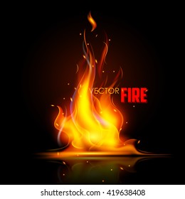 illustration of Realistic Burning Fire Flame on black background