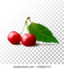 Illustration realistic cherry fruit on Transparent