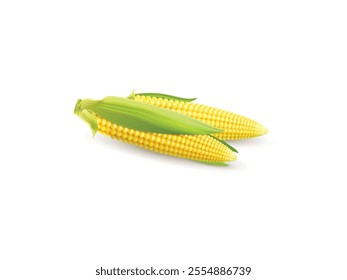 Illustration of Realistic corn on the white. 3d Ripe Corn Cob vector. 3D Ripe Corn Cob Vector Illustration - Realistic Corn on White Background