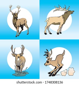 Illustration of realistic deer animals arranged in isolation