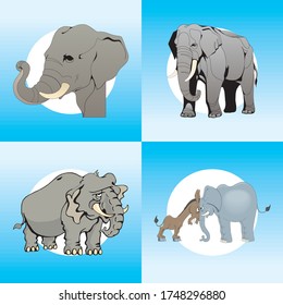 
Illustration of realistic elephant animals arranged in isolation