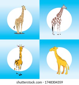 
Illustration of realistic giraffe arranged animals isolated