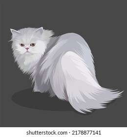 Illustration Of Realistic Gray White Furry Persian Cat Cartoon.