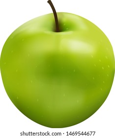 Illustration of realistic green Apple