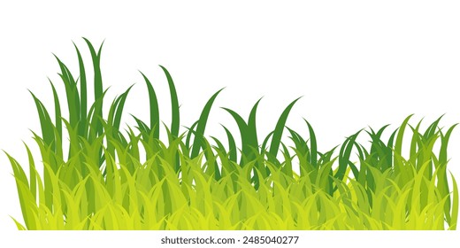 
Illustration of realistic green Grass, Spring meadow and summer grass. Natural landscape vector illustration.