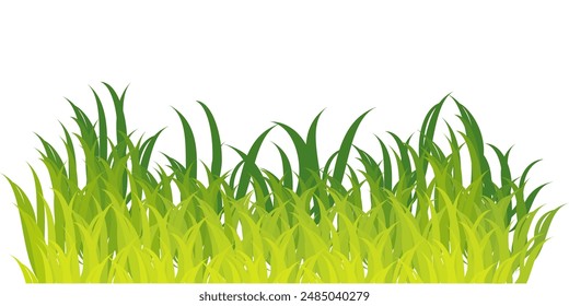 
Illustration of realistic green Grass, Spring meadow and summer grass. Natural landscape vector illustration.