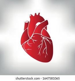 illustration of a realistic heart, gradient illustration on a medical theme, cardiology.