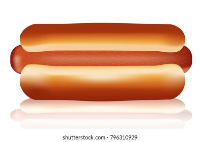 Illustration Realistic Hot Dog Vector