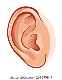 Similar Images, Stock Photos & Vectors of Vector illustration of ear on