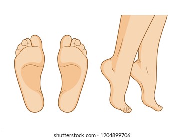 Illustration of realistic human feet on white background.