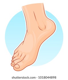 Illustration of realistic human foot on the blue round background.