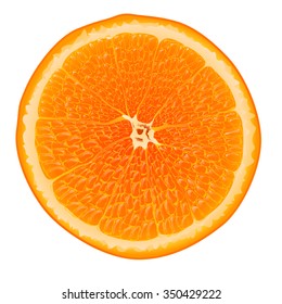 illustration of realistic orange isolated on white background