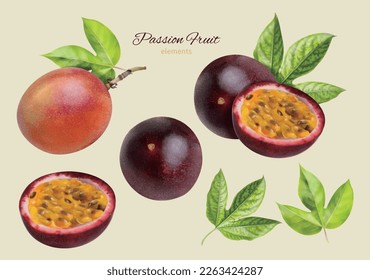 Illustration of realistic passion fruit isolated on cream white background. Including whole fruit, half piece and leaves.