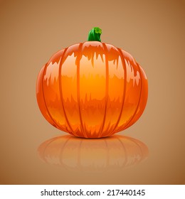 illustration of realistic pumpkin with shadow and reflect