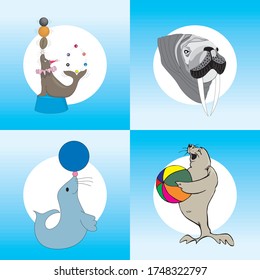 
Illustration of realistic sea dog animals arranged in isolation