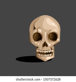 illustration of realistic skull template vector