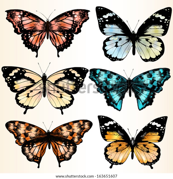 Illustration Realistic Vector Butterflies Stock Vector (Royalty Free ...