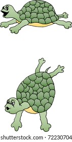 Illustration of a really cute turtle