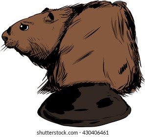 Illustration of rear view of single brown beaver with long wide tail