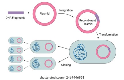 Ilustración de la Tecnología de ADN recombinante sobre fondo blanco que demuestra técnicas de ingeniería genética para la biotecnología.