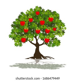 りんごの木 の画像 写真素材 ベクター画像 Shutterstock