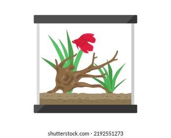 Illustration Of A Red Betta Fish Tank.