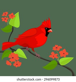 Illustration of the red bird on the tree.