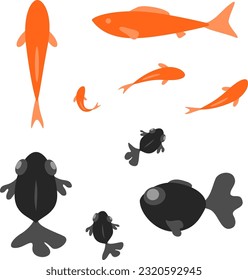 Ilustración de la natación de peces rojos y negros