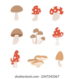 illustration of red and brown mushroom set