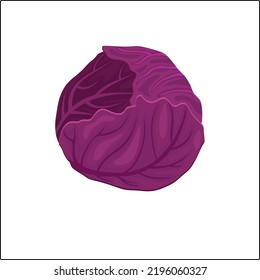 Illustration of red cabbage. vector flat design