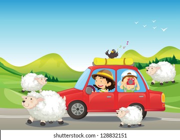 Illustration of the red car and the sheeps at the road