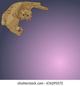 Illustration of a red cat