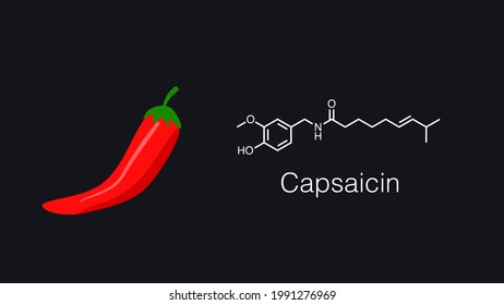 Illustration Of Red Chili And Capsaicin Molecule.