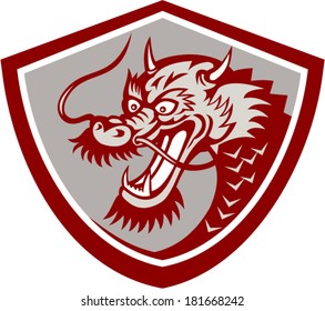 Illustration of a red chinese dragon head set inside shield on isolated white background.