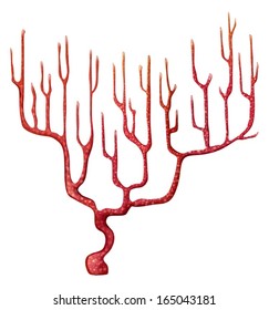 Illustration of a red coral on a white background