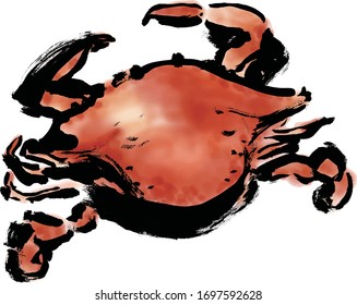 Illustration of a red crab named migratory crab