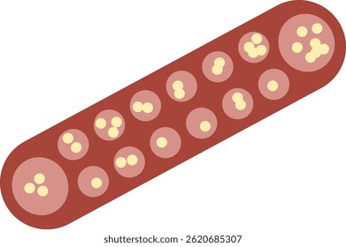 Illustration of red dakon children's toy