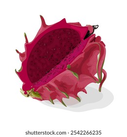 Illustration of red dragon fruit or pitaya, isolated on white background.