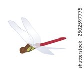 Illustration of red dragonfly, Vector illustration